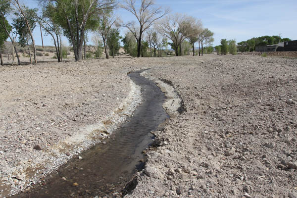 It may not look like much compared to other rivers, but the Amargosa is home to an amazing biodiversity. Photo: Matt Miller/TNC