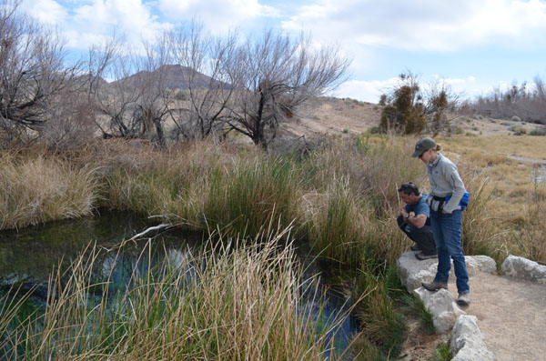 Conservancy ecologists Sophie Parker and Jim Moore visit an Ash Meadows spring. Photo: Scott Morrison/TNC