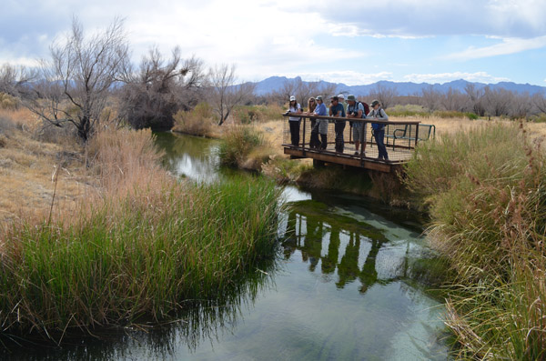 Visitors look for pupfish at Ash Meadows National Wildlife Refuge. Photo: Scott Morrison/TNC