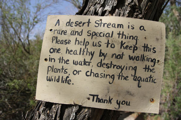 China Ranch promotes conservation of desert springs wildlife. Photo: Matt Miller/TNC