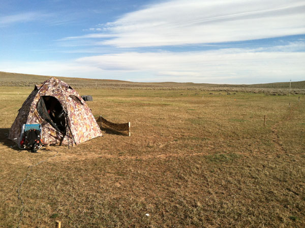 The grouse blind. Photo: Holly Copeland/TNC