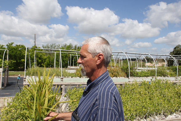 Preserve manager Max Pons checks out growing sabal palm plants. Photo: Matt Miller/TNC