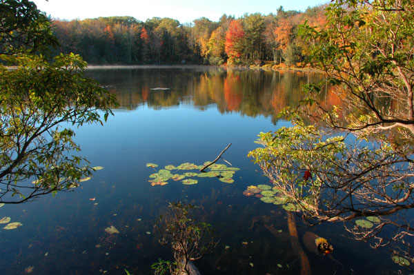 Woodbourne Forest Preserve. Photo: George C. Gress/TNC