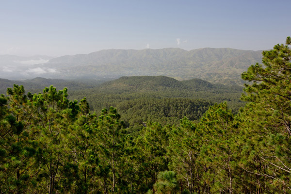 The contrast at the border between Haiti (largely deforested, background) andneighboring Dominican Republic (with trees, foreground) has been a classic example of the role of natural capital in reducing disaster vulnerability.The Coasts at Risk Report backs up such observations with data. Photo credit: © Bridget Besaw 2012