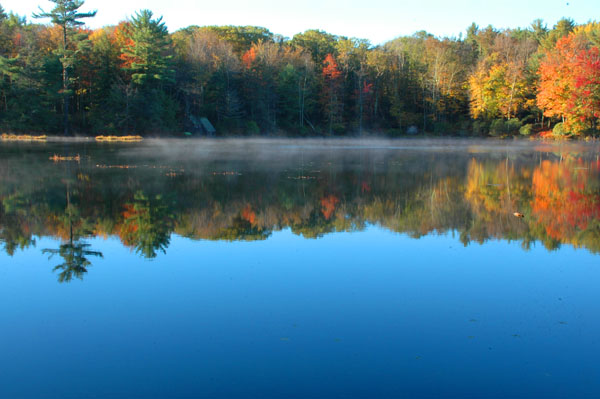 The pond at Woodbourne is undeniably beautiful, but what if it's damaging old-growth forest? Photo: George C. Gress/TNC