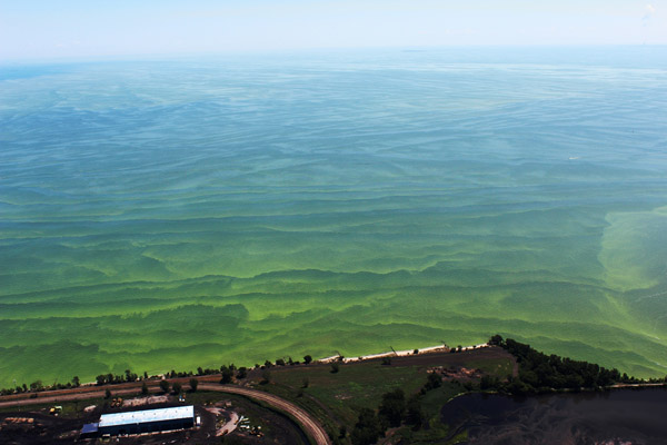 Understanding the Lake Erie Algal Blooms & Toledo Water Shutdown