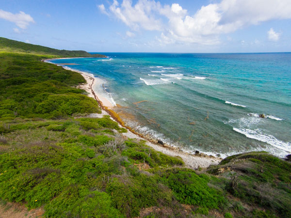 Jack and Isaacs Bay. Photo: © Marjo Aho