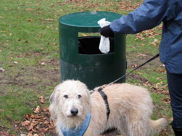 A responsible dog owner disposing of poo. Photo © Lisa Parker/Flickr.