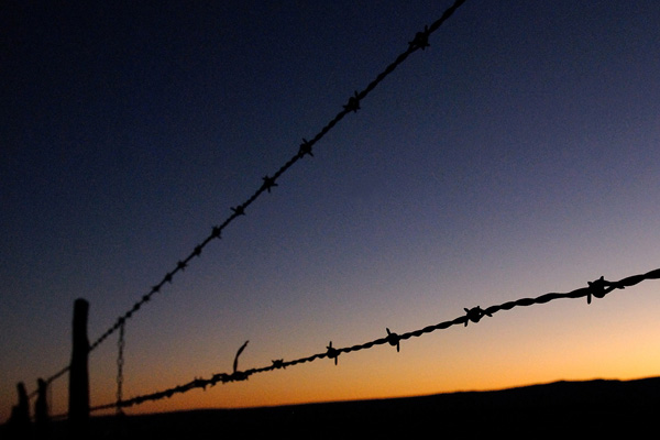 Fences often can knock off a loosened antler. Photo: © Ken Driese