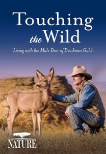 touching the wild