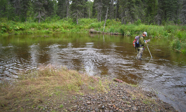 A researcher collects temperature data, critical for understanding salmon ecosystems. Photo: © Jonny Armstrong