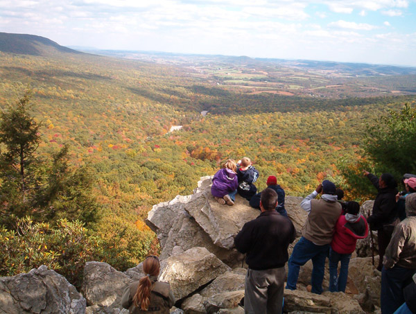 Once, this was the site of hawk carnage. Today, it's a popular birding spot. Photo: Mike Serfas, released into the public domain.