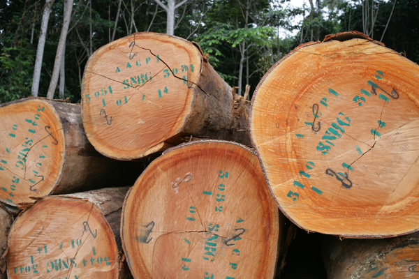 Logs en route to market in Gabon. Photo: Marie-Claire Paiz/TNC