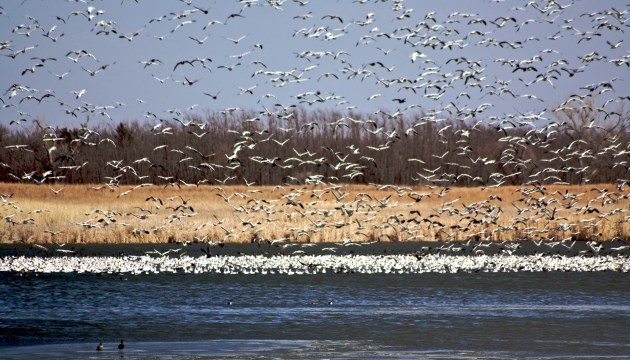 10 Top National Wildlife Refuges To Visit