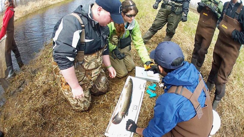 5 - Bowfin - SRD UWGB students