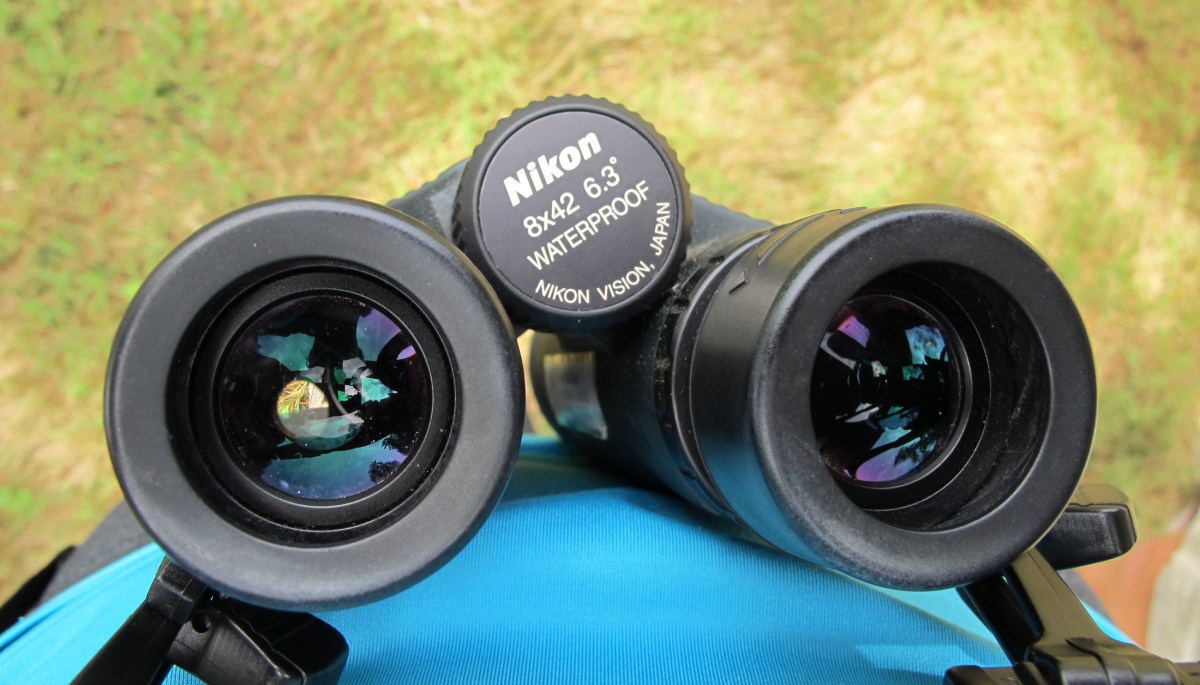a pair of binoculars viewed from the perspective of the wearer