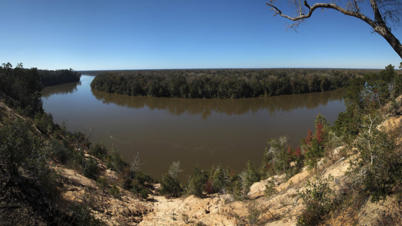 The Conservancy’s Apalachicola Bluffs and Ravines Preserve in north Florida. Photo: Eric Blackmore