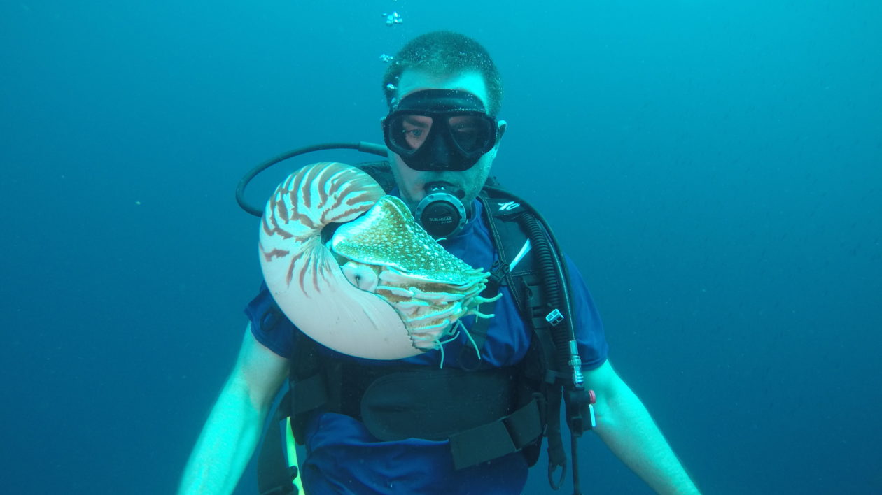 Richard Hamilton and Nautilus pompilius in Kavieng. Photo © Dave Abbot