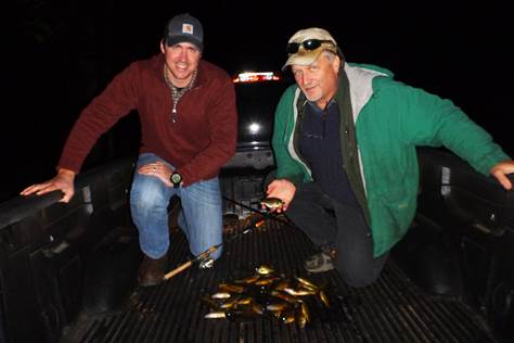 A big catch of little bluegill. Photo @ Andrew Rypel