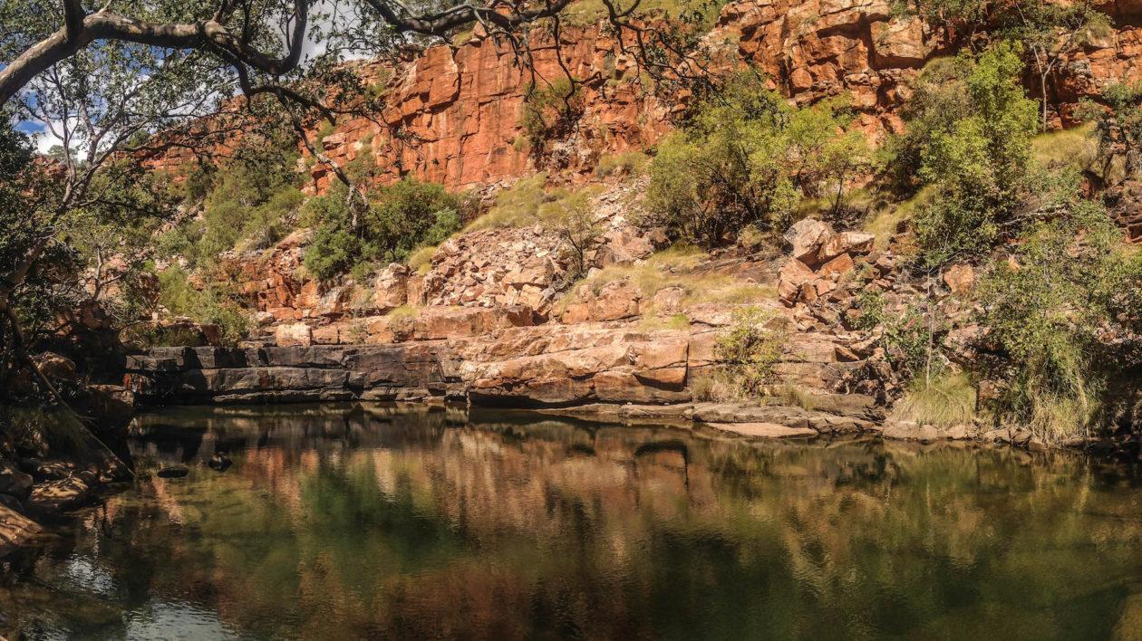 Mornington Wildlife Sanctuary. Photo © Stephan Ridgway / Flickr