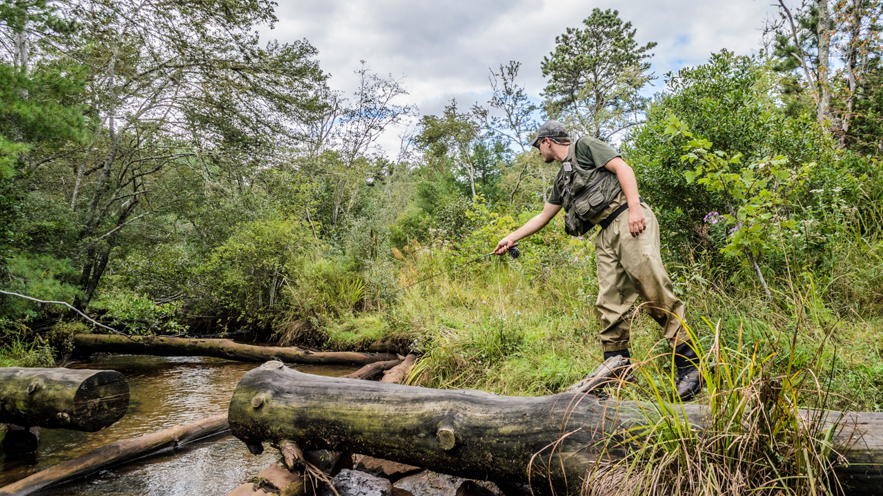 Photo courtesy of Sea Run Brook Trout Coalition