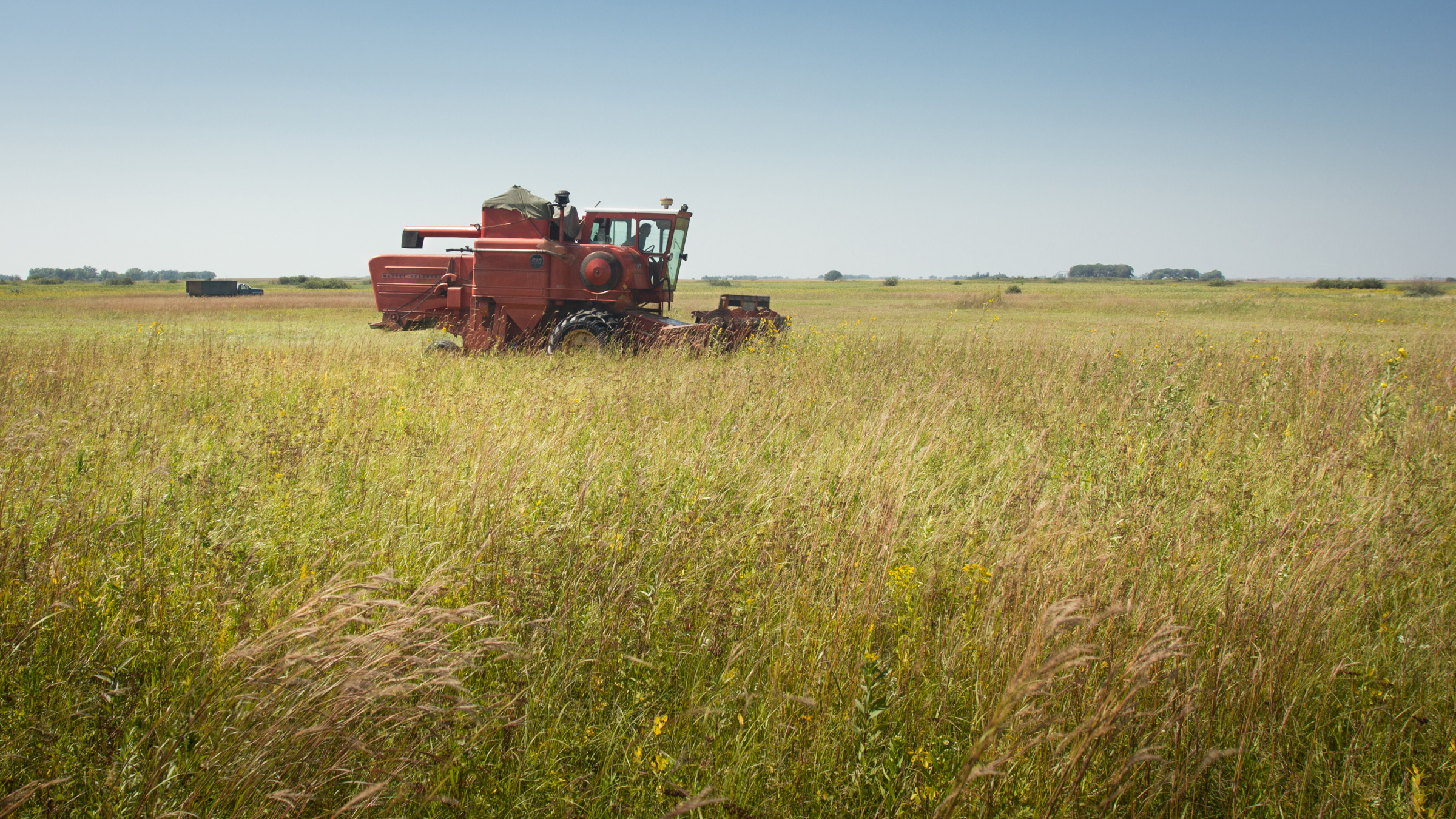 Combine seed harvesting. Photo © Justin Meissen