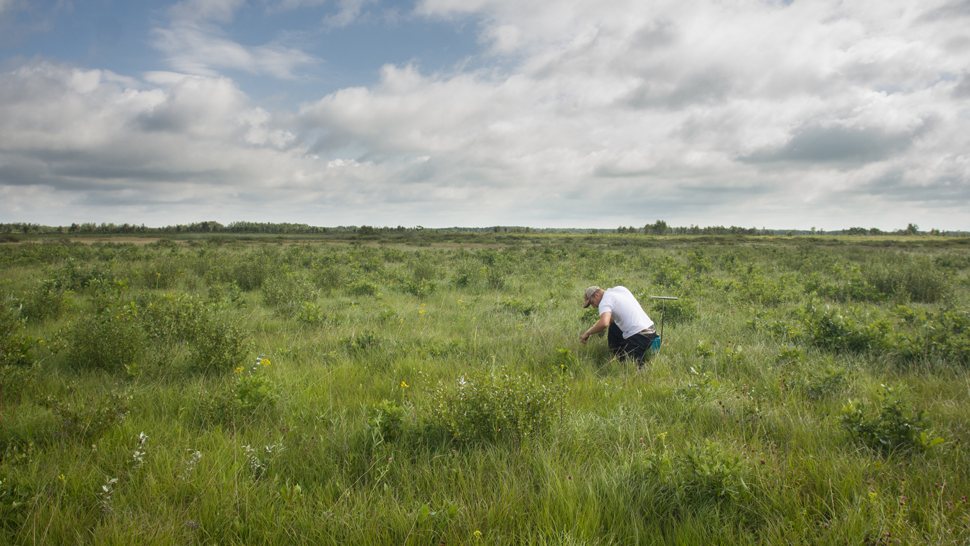 Prairie surveys. Photo © Justin Meissen
