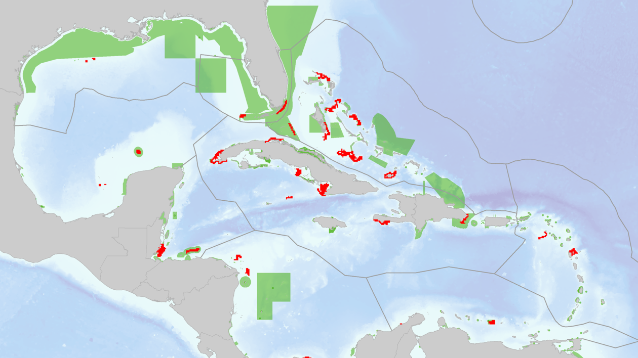 Results of the marine ecoregional coral connectivity best solution (30% target set for local retention and betweenness centrality values by reef unit), overlaid onto marine protected areas. Image © PLOS One. 
