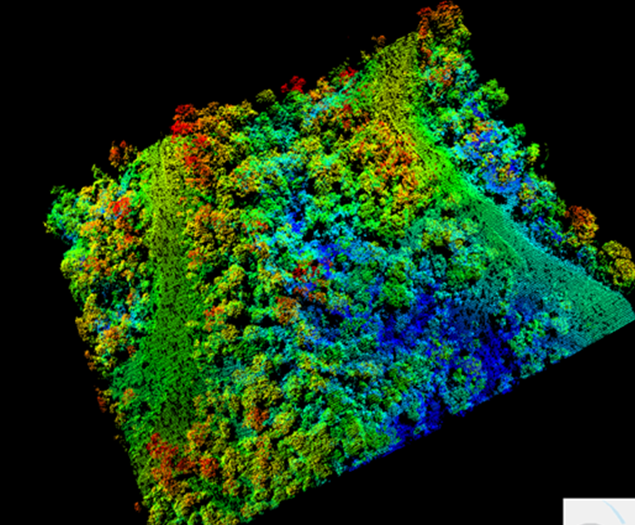 Lidar data from Borneo. © Ellis, P. et al. (2016).