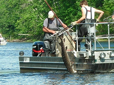 Menominee River. Photo © Mike Donofrio, Wisconsin Fish, Wildlife and Parks Division