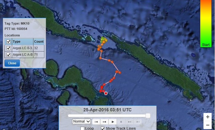 A map of Dora's migration out of the Arnavon Islands. Photo © The Nature Conservancy