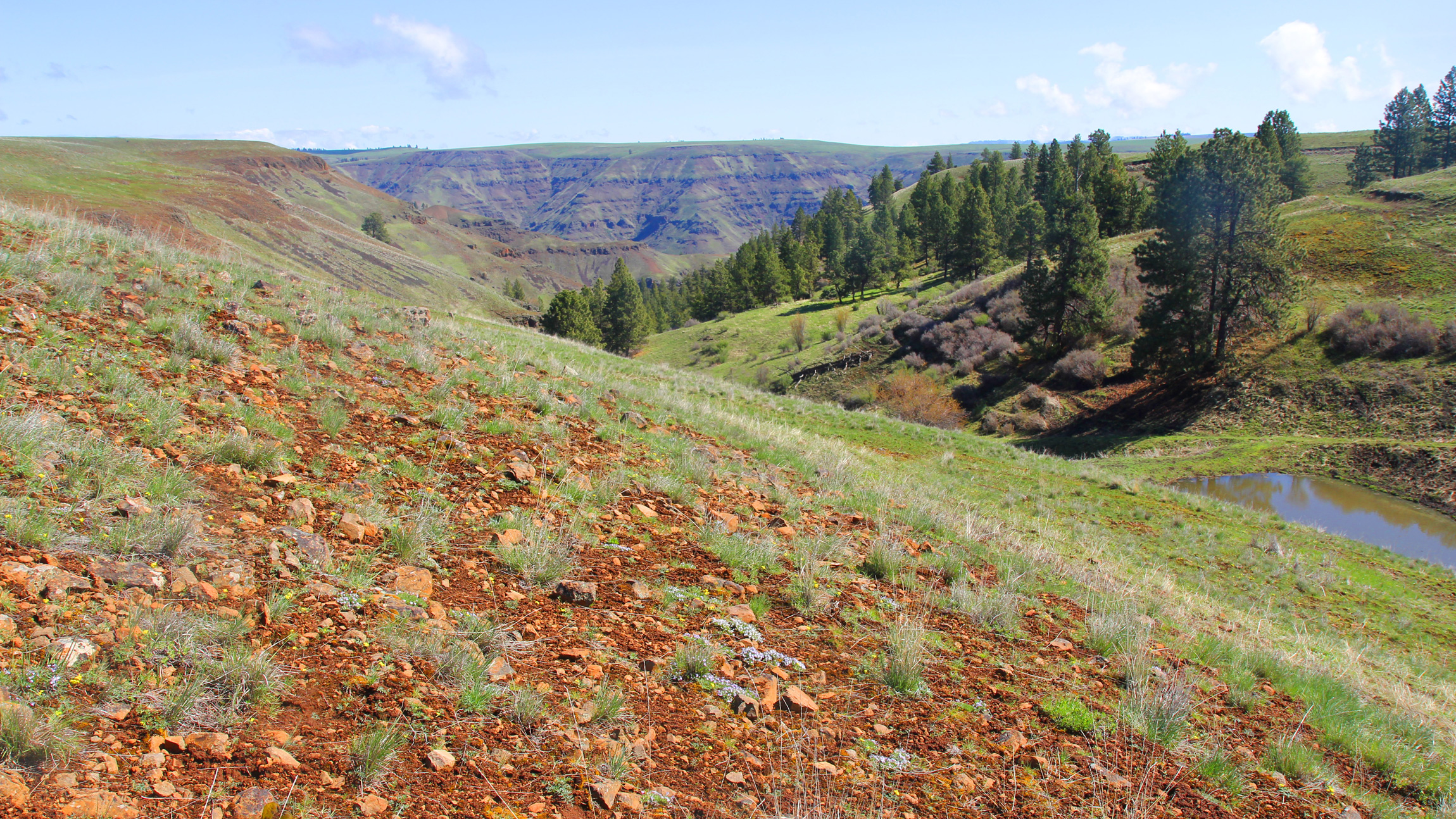 Typical scenery at the Conservancy's Zumwalt Prairie Preserve in Oregon. Photo © The Nature Conservancy (Matt Miller)