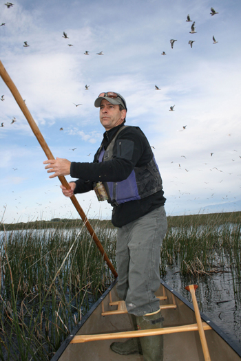 Ibis biologist Rob Cavallaro. Ibis in the air. Photo © Kris Millgate, tightlinemedia.com