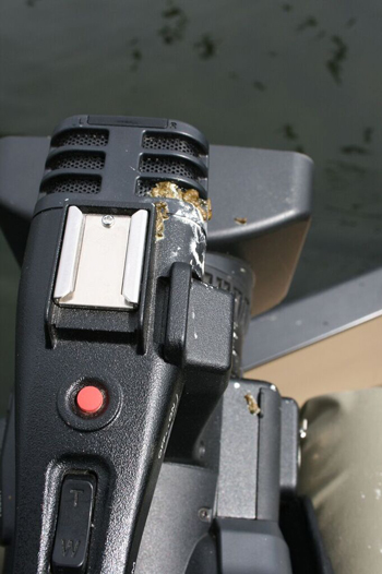 Ibis-bombed camera. Photo © Kris Millgate, tightlinemedia.com