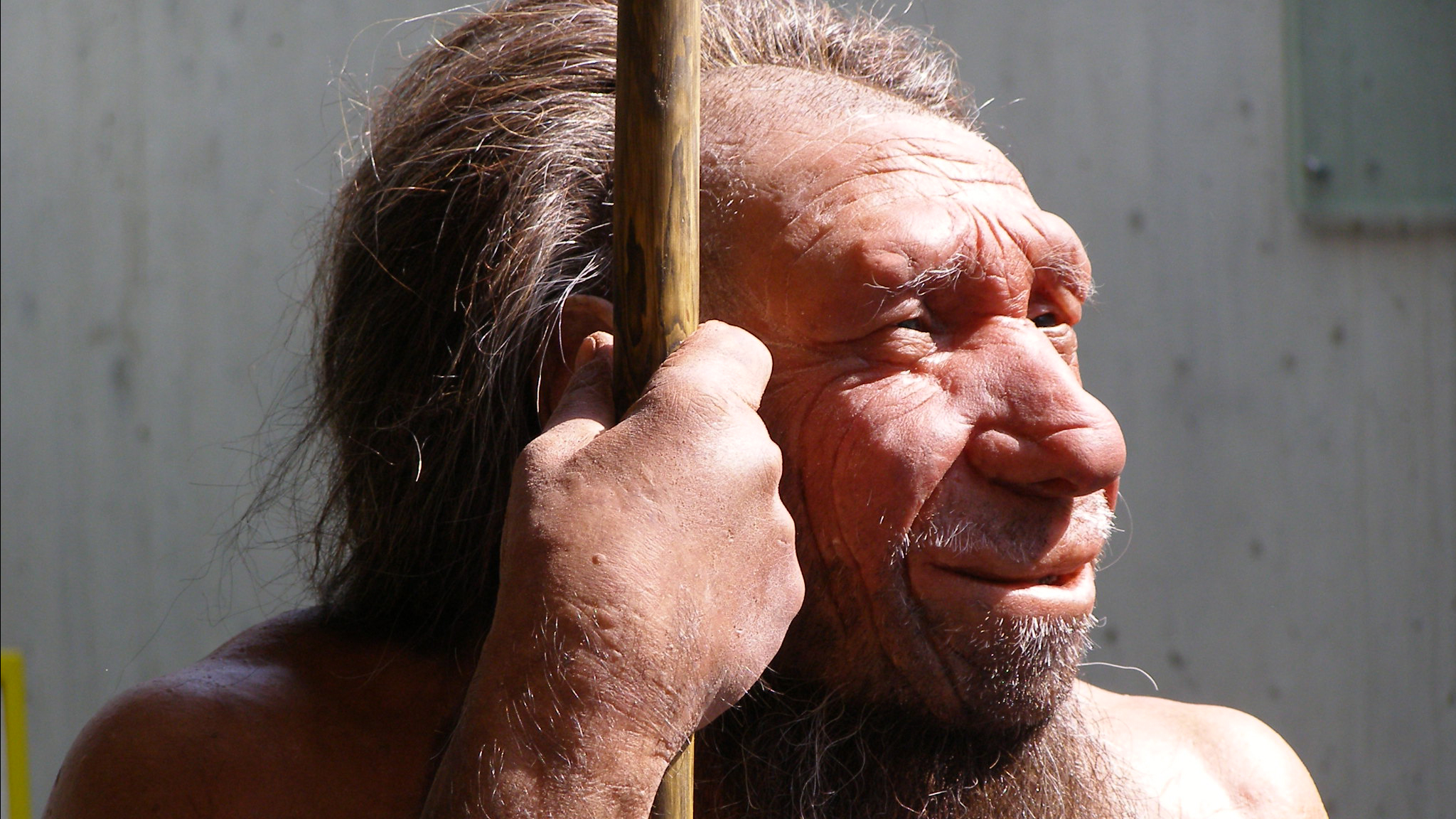 Neanderthal Museum exhibit (in Germany). Photo © Erich Ferdinand / Flickr through a Creative Commons license