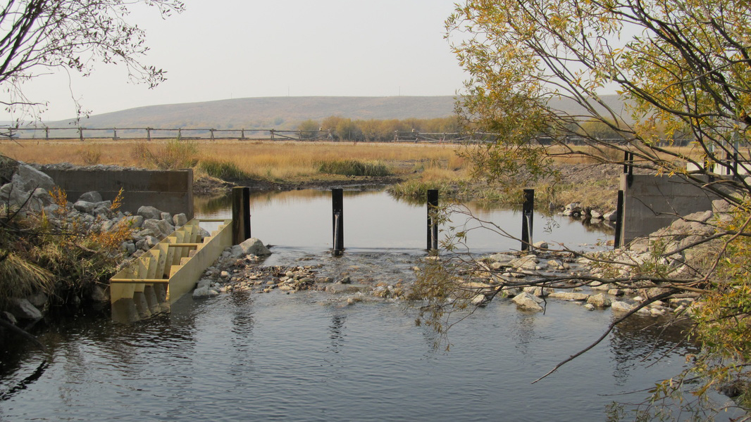 Fish ladder in an irrigation diversion on Rock Creek, a tributary to the Big Hole River. Photo © Kyle Tackett, NRCS