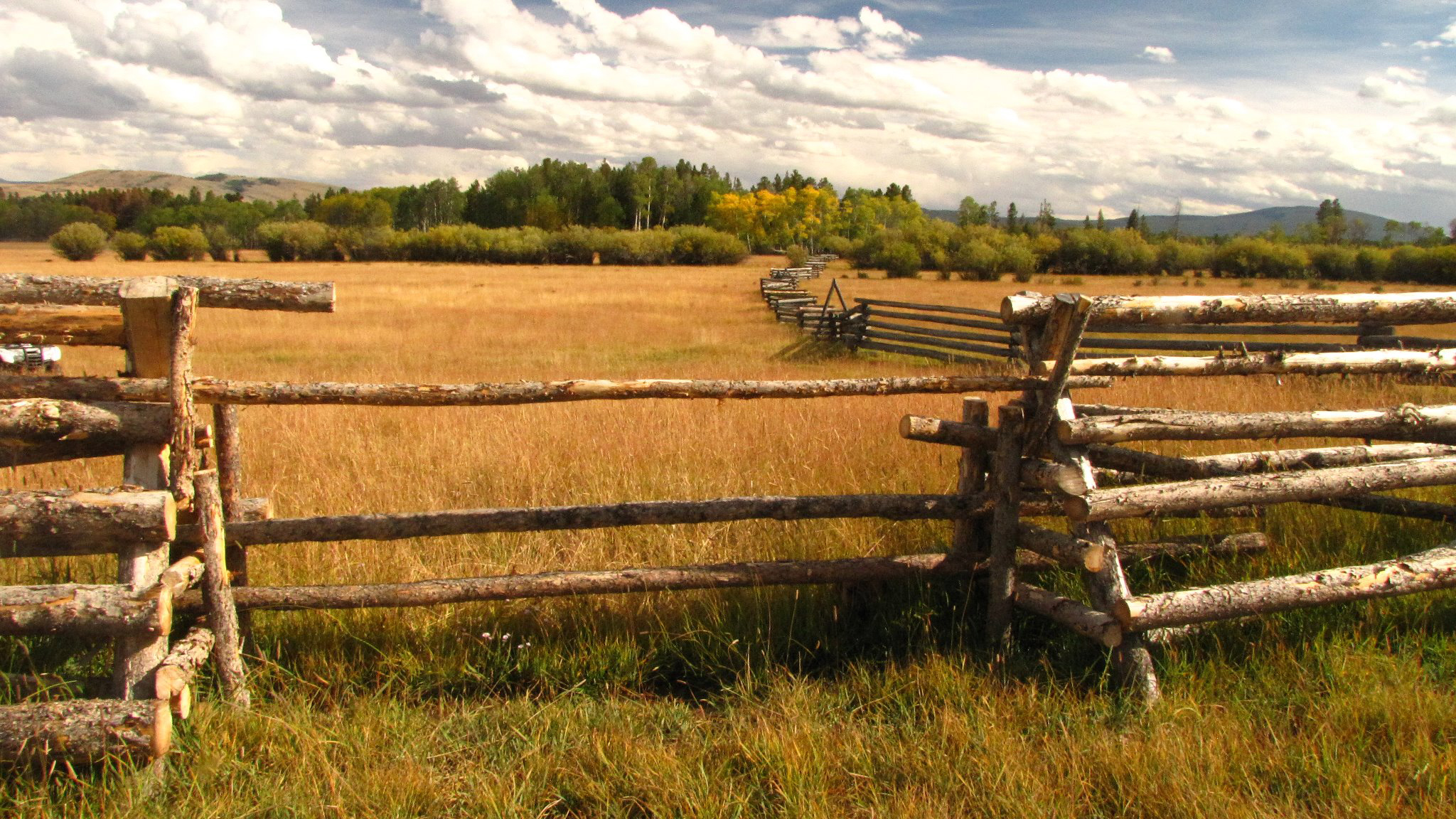 Wildlife friendly fence crossing installed along a riparian fence in the upper Big Hole Valley. Photo © Emily Cayer FWP