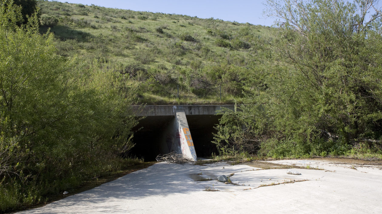 A highway crossing at Alamos Canyon is a key wildlife cooridor in Simi Valley, California. Photo. © Ian Shive