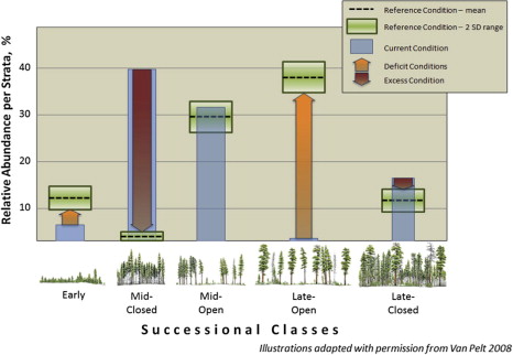 Example of how the comparison of excess and deficit successional classes to reference conditions are determined. This example depicts the Dry Douglas-fir biophysical setting within the Oregon Blue Mountains — Upper Tucannon watershed. Forest illustrations adapted with permission (Van Pelt, 2008).