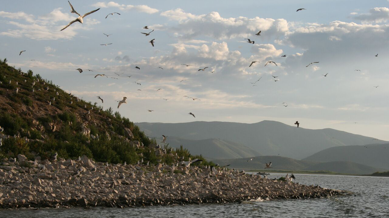 Pelican Island. Photo © Kris Millgate www.tightlinemedia.com