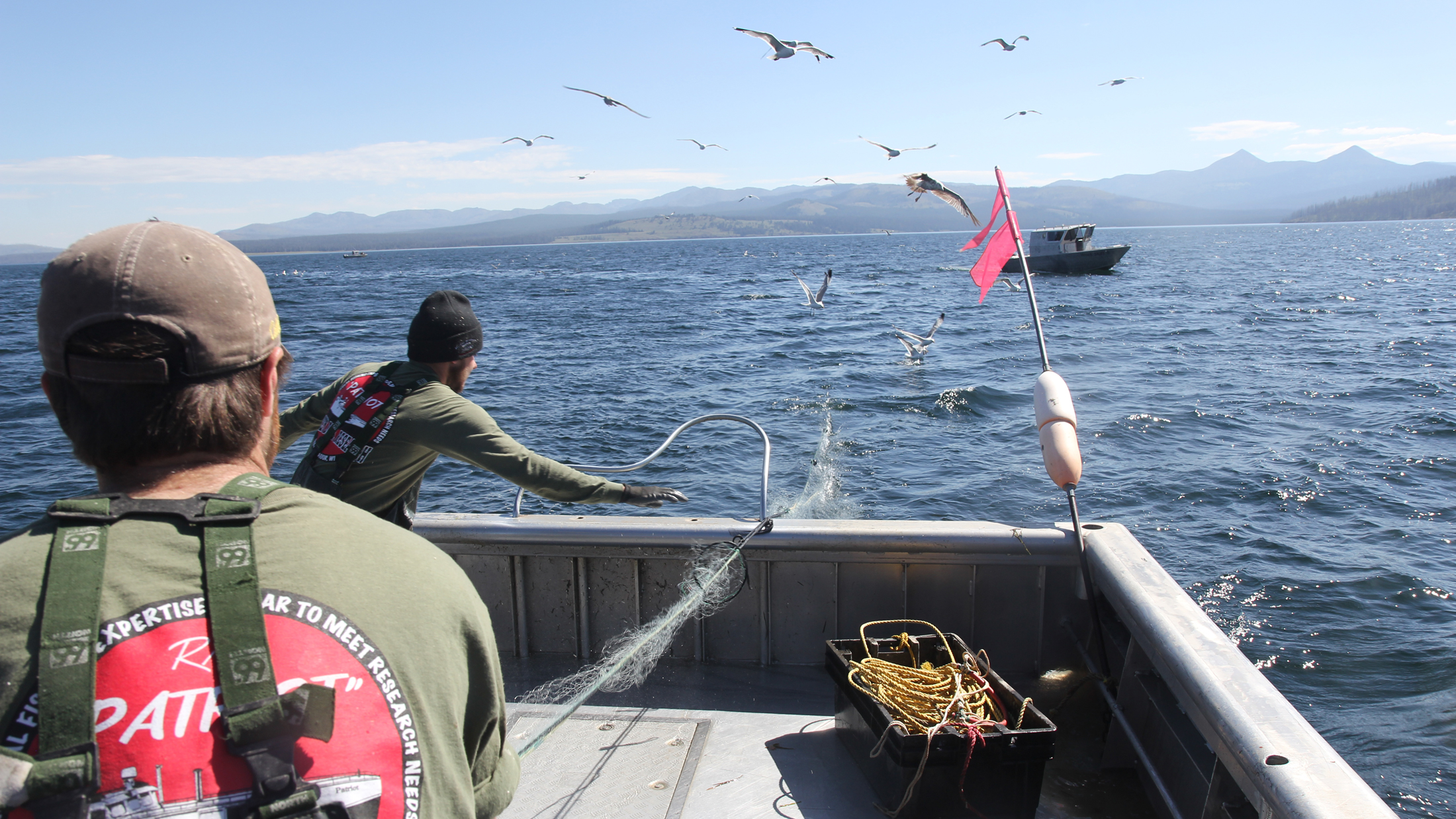 Gillnetting lake trout on Lake Yellowstone. Photo © The Nature Conservancy (Matt Miller)