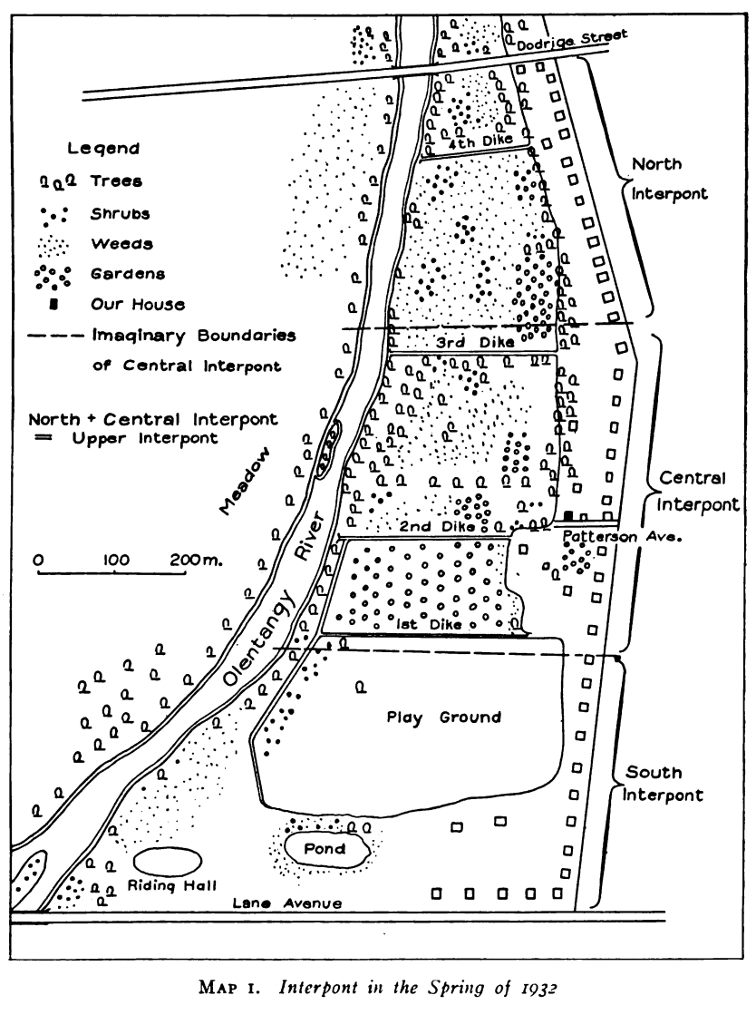 Map of Westeros, I mean Nice's backyard study site.