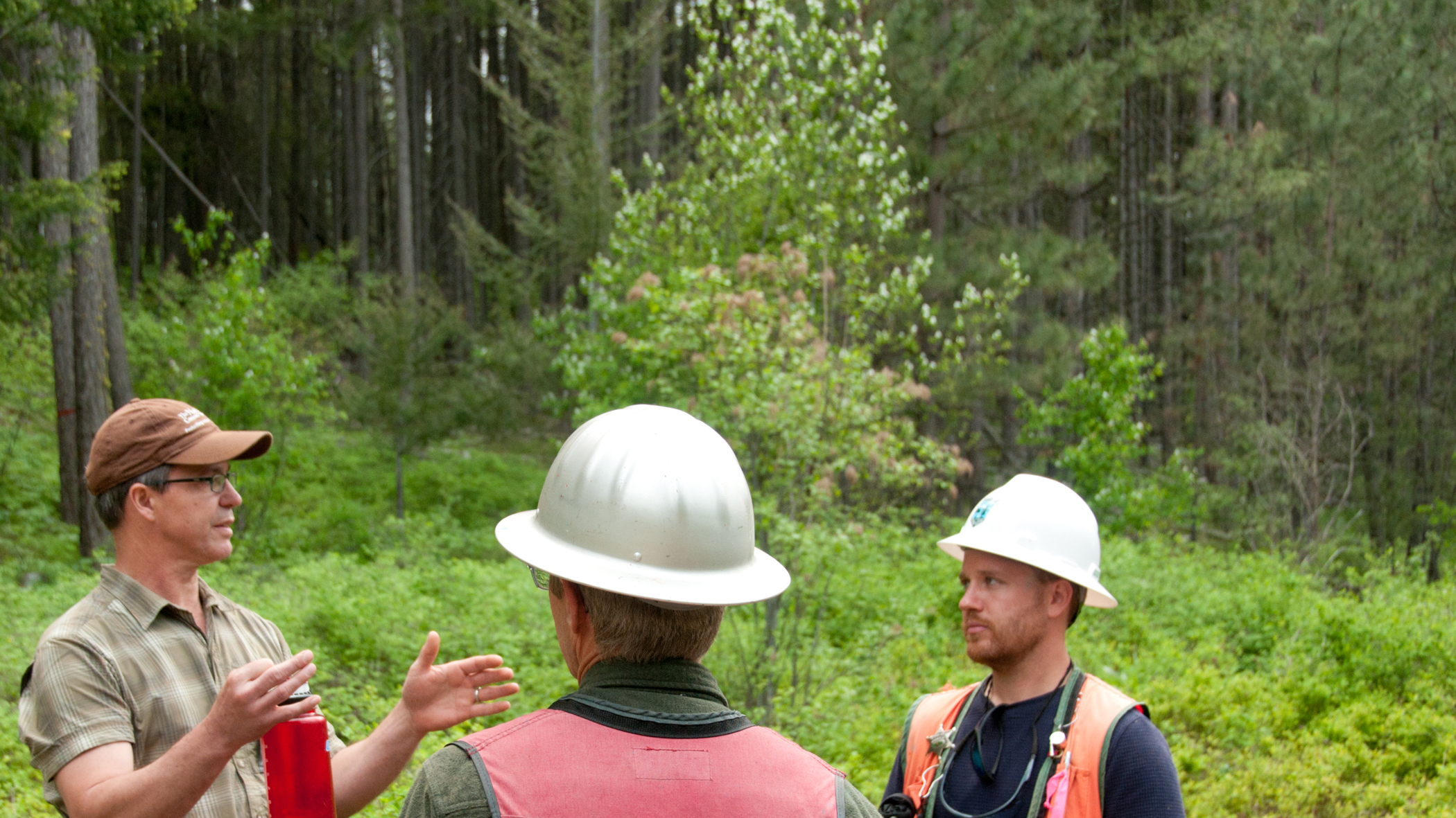 Forestry scientists and practitioners discuss the implementation of an ICO approach. Behind them you can see the dense, relatively young trees. © The Nature Conservancy (Hannah Letinich)