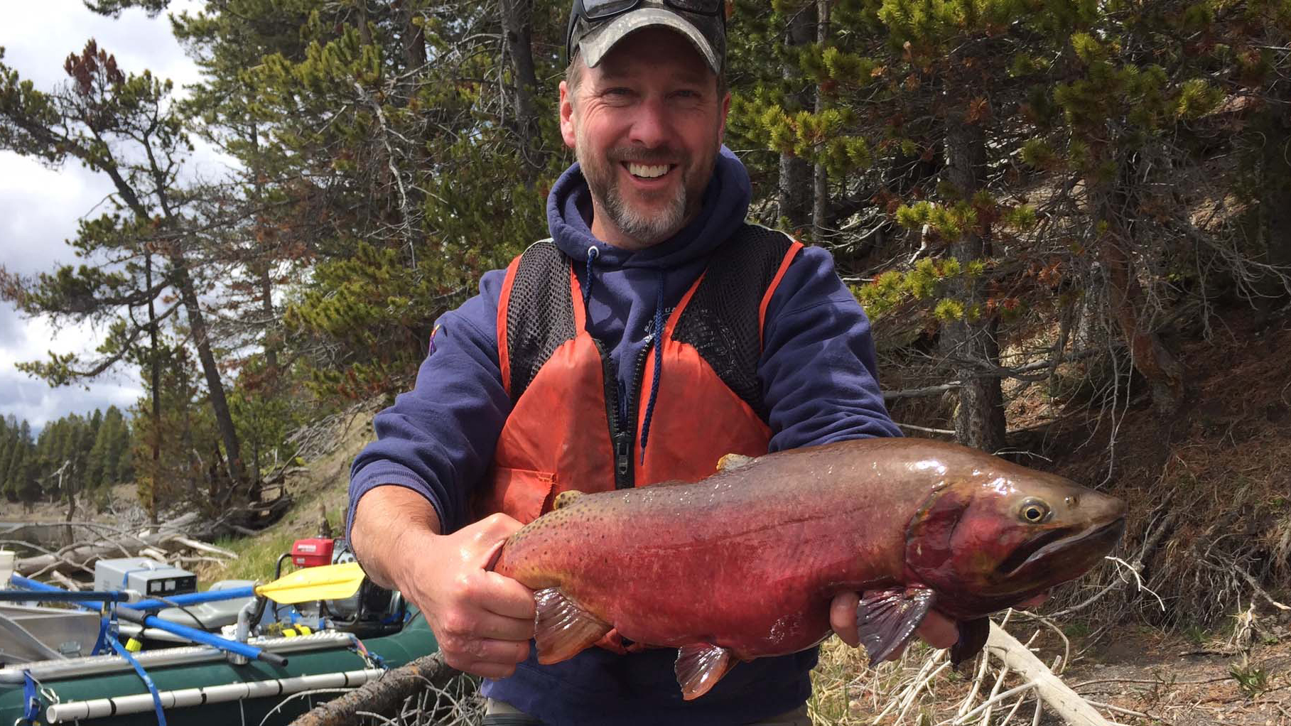 Todd Koel, National Park Service biologist, handles a large Yellowstone cutthroat trout. Photo © Trout Unlimited