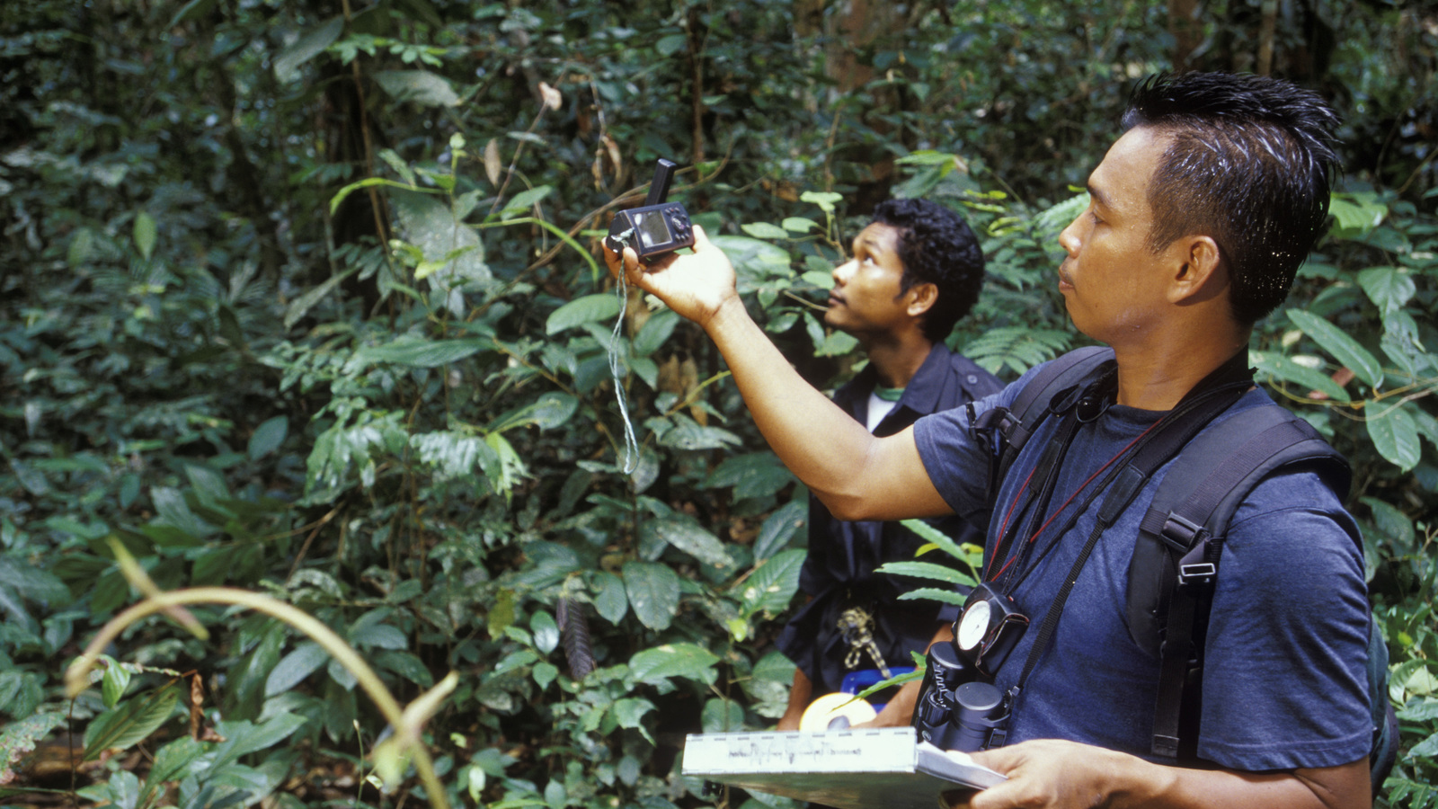 TNC's Nardiyono, Team Leader of the Orangutan Nest Survey, uses a GPS to plot location during survey work in the Lesan River Orangutan Survey site. Photo © The Nature Conservancy (Mark Godfrey)