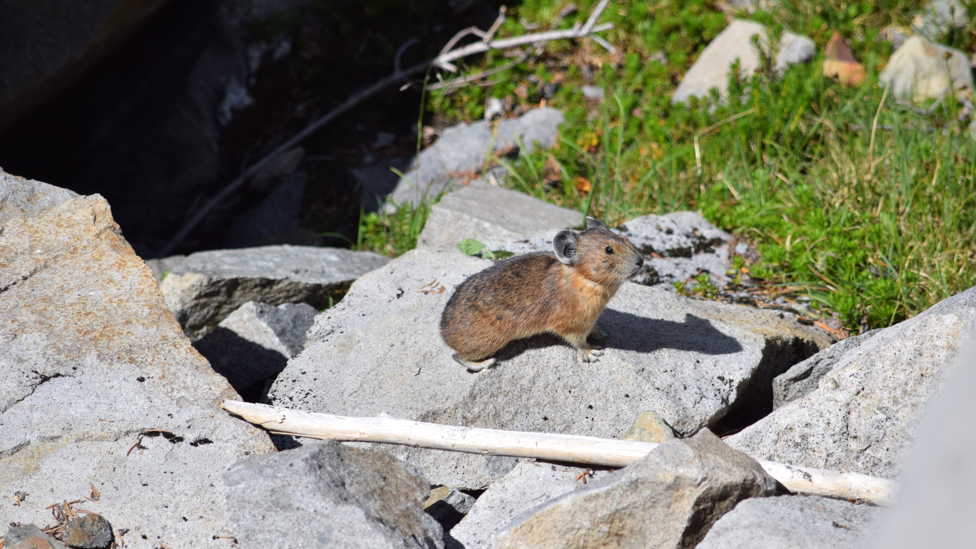 Photo © The Nature Conservancy (Lisa Feldkamp)