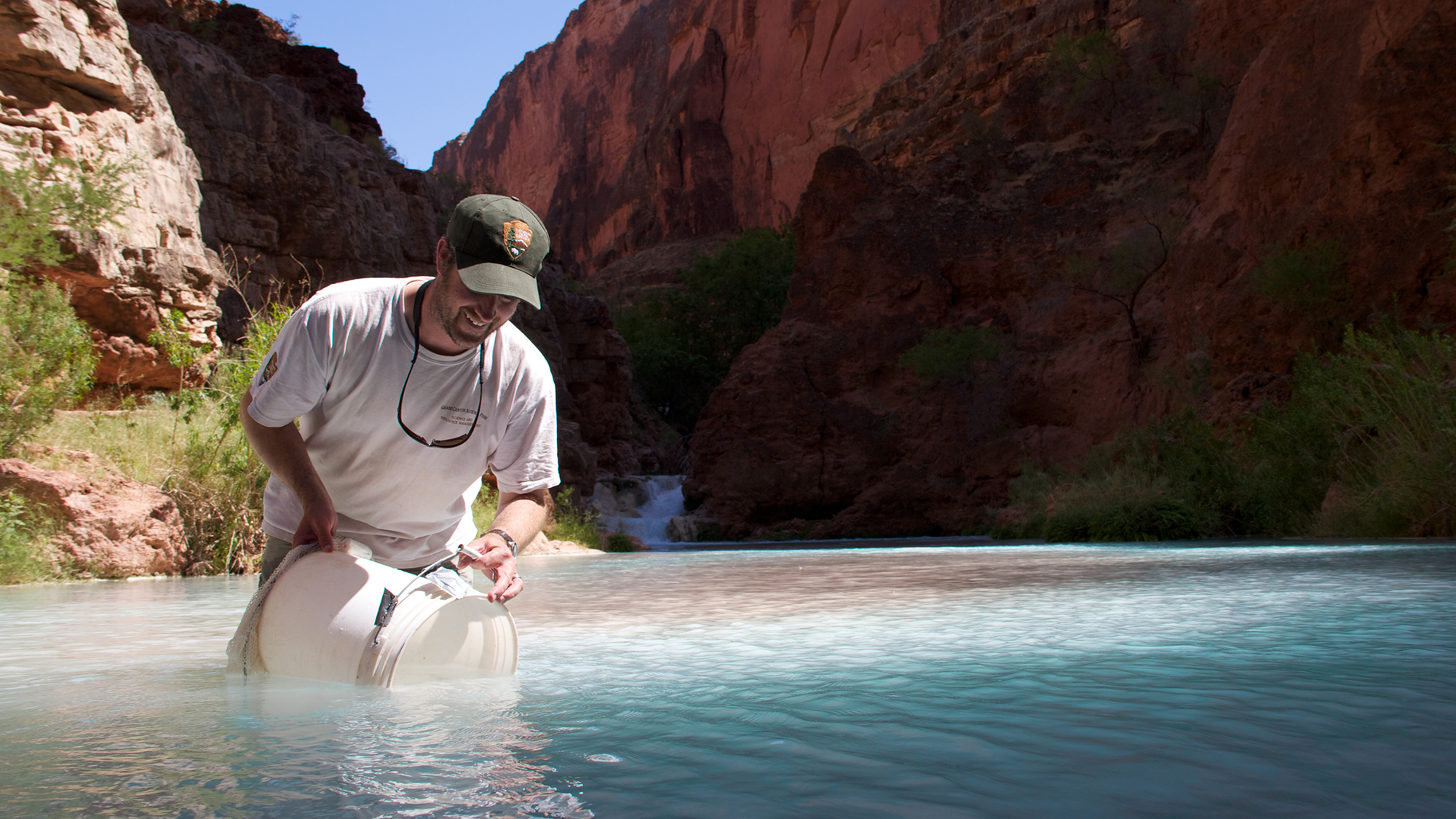 Releasing a humpback chub. Photo © Amy Martin/NPS