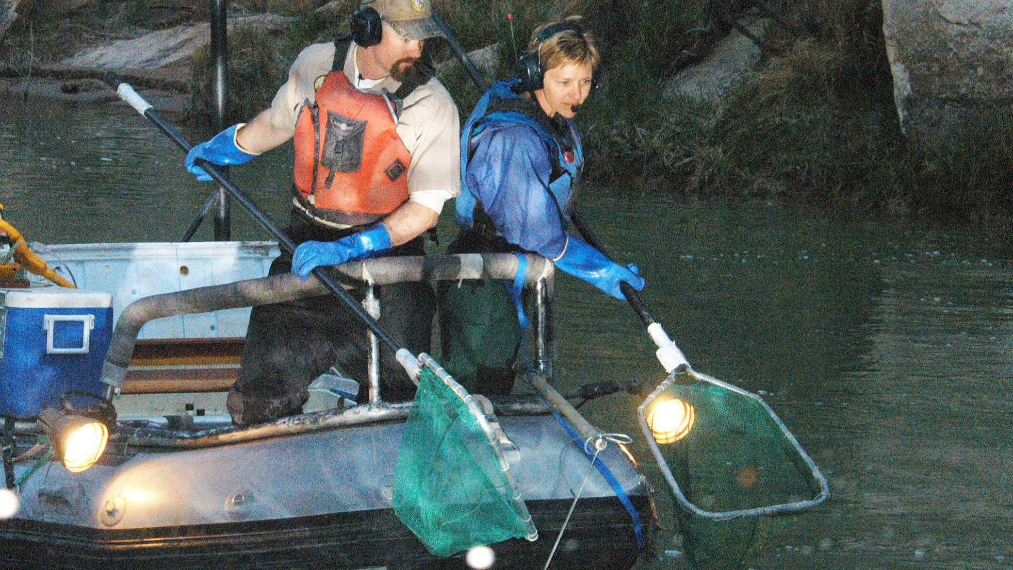 Electrofishing by the Arizona Game & Fish Department conducting their annual mainstem Colorado River fish monitoring. The same methods were used for mechanical removal of rainbow trout near the Little Colorado River confluence and brown trout near Bright Angel Creek. Photo © George Andrejko