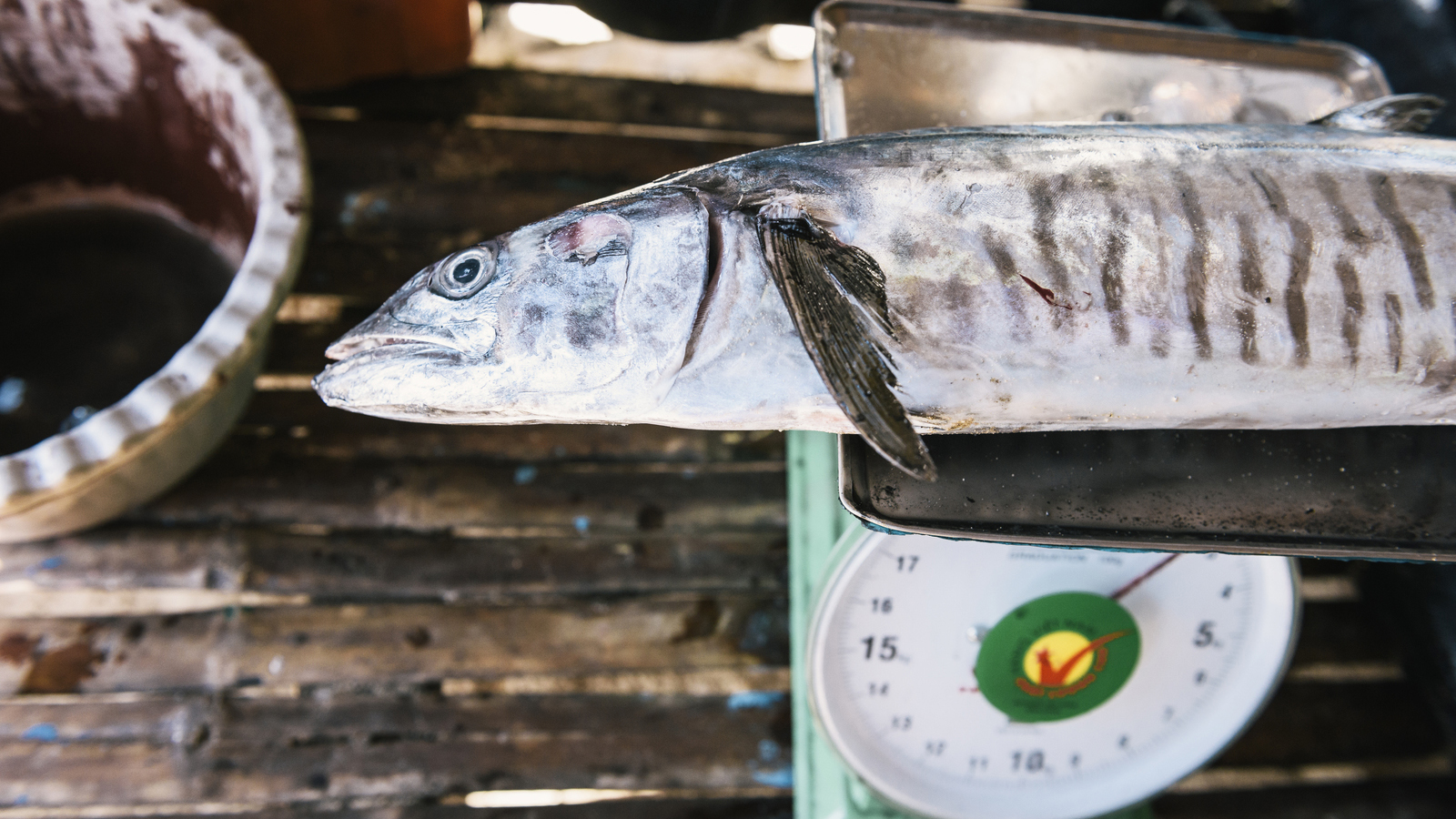 Wahoo fish are prepped to be weighed and measured. With the help of the Nature Conservancy and other partners, fisherman have learned the best practices for fishing sustainably. Photo © Kevin Arnold