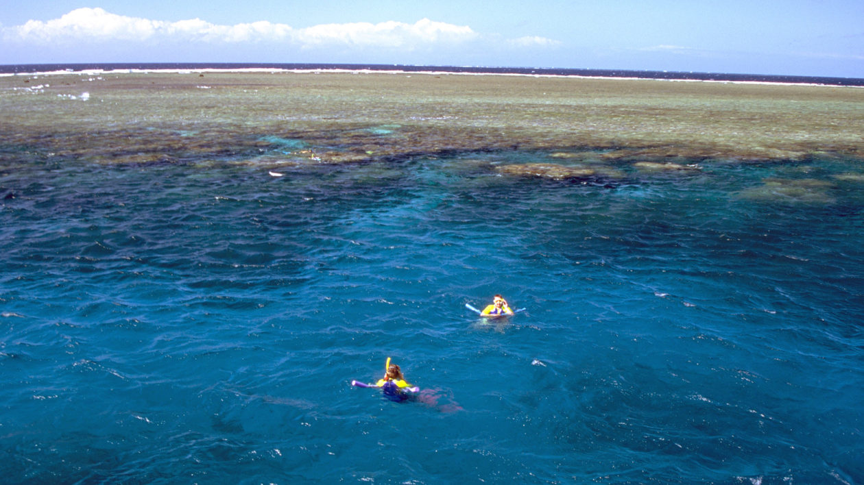 Snorkeling at Queensland's Great Barrier Reef. Photo ©The Nature Conservancy (Ron Geatz)